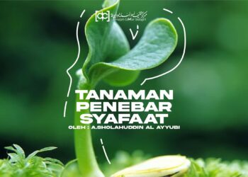 Tanaman Penebar Syafaat