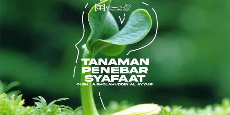 Tanaman Penebar Syafaat