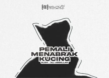 Pemali Menabrak Kucing